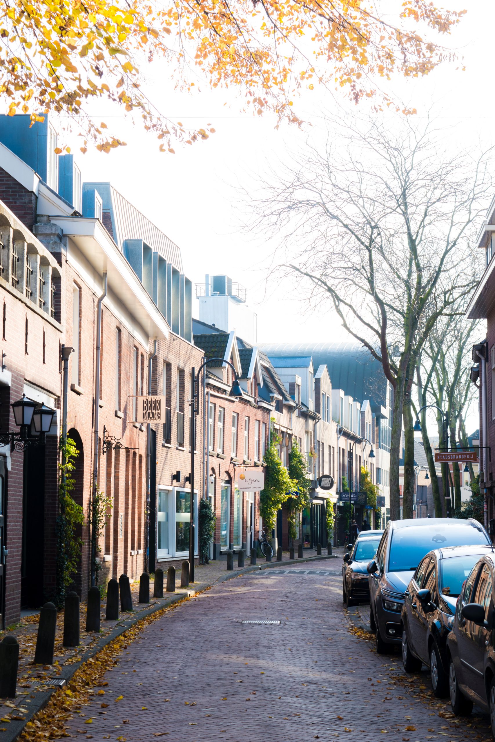 Hoe u een huis kunt kopen in Eindhoven
